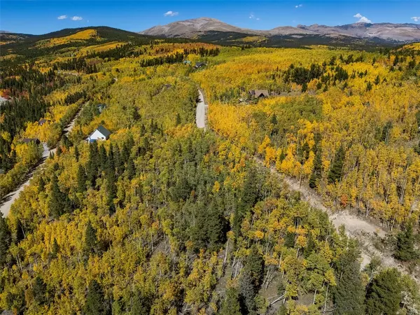 Alma, CO 80420,739 Ponderosa RD