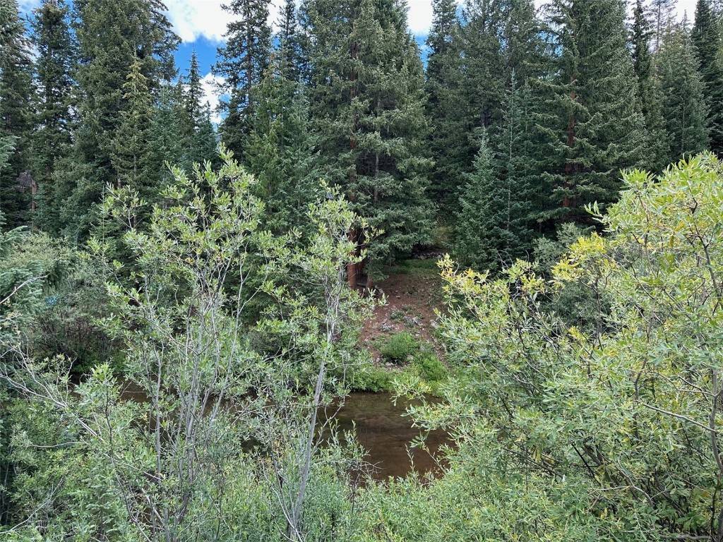Breckenridge, CO 80424,116 Lance LN