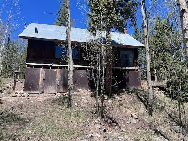 227 Roberts RD, Alma, CO 80420