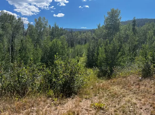 Oak  Creek, CO 80467,TBD Shay Way