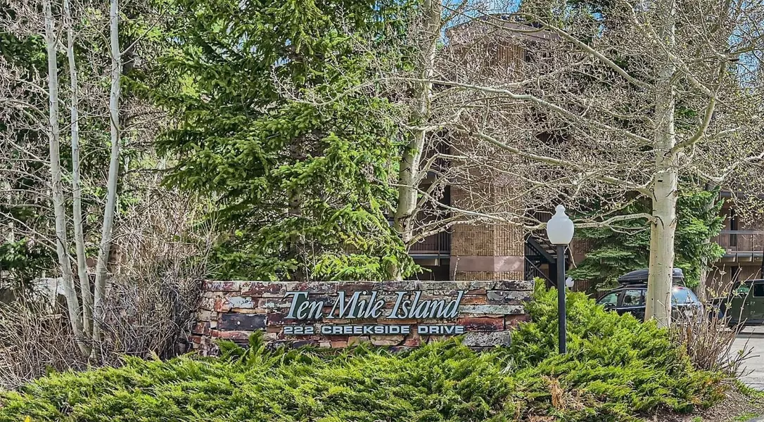 222 Creekside DR #213, Frisco, CO 80443