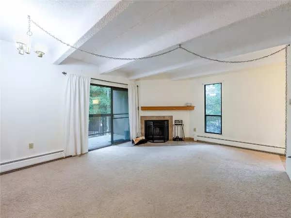 Frisco, CO 80443,222 Creekside DR #213