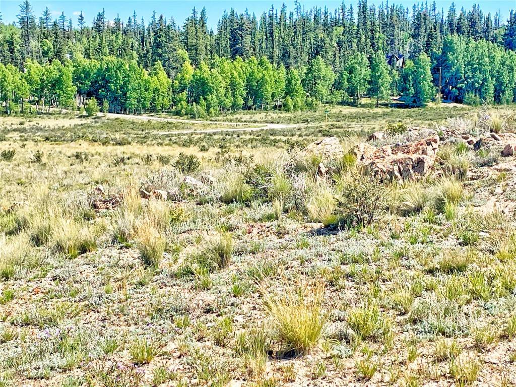 584 Arrowhead DR, Como, CO 80432