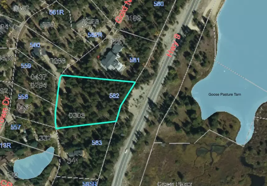 303 Gold Nugget DR, Blue River, CO 80424