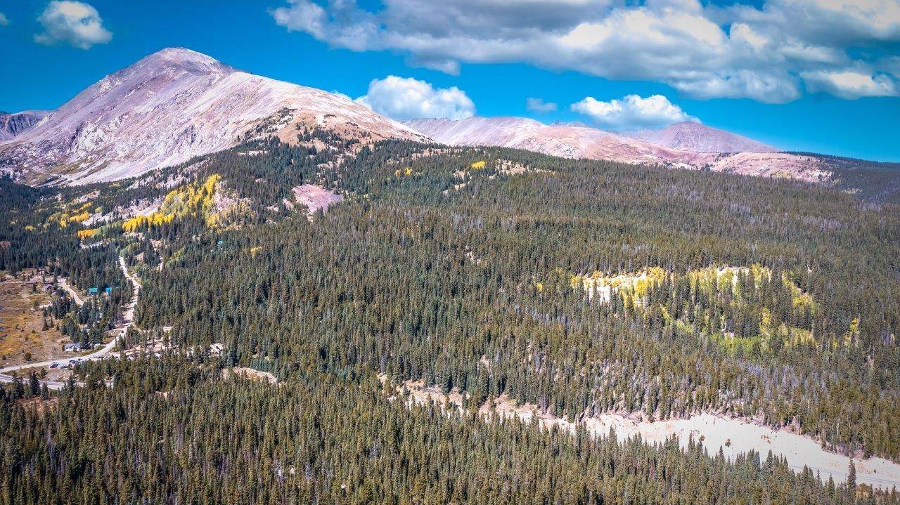 91 McCullough Gulch RD, Breckenridge, CO 80424