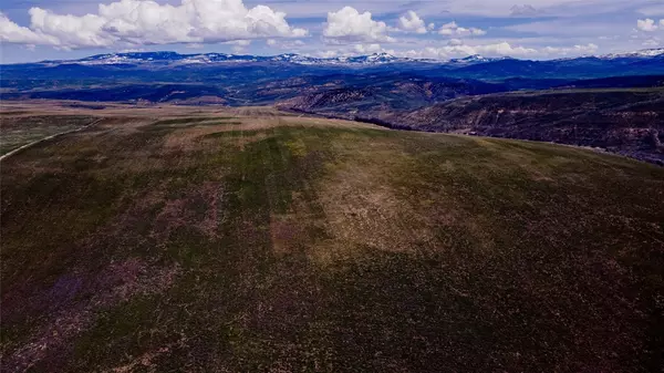 Hayden, CO 81639,5795 County Road 78