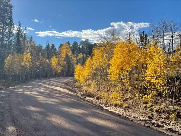 Como, CO 80432,6409 Remington RD