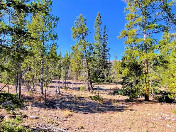 Alma, CO 80420,0 Mosquito CIR