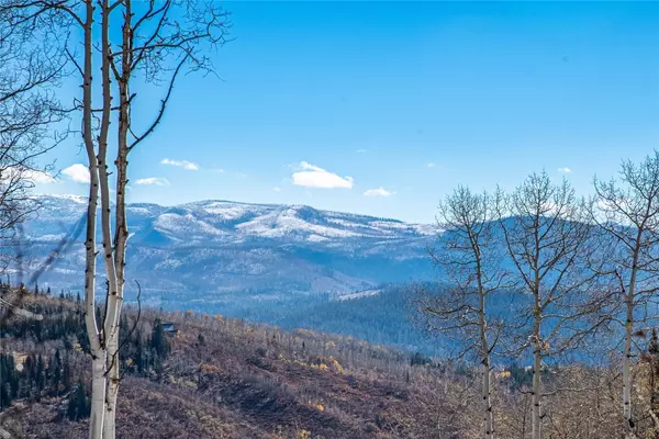 Clark, CO 80428,26635 Neptune PL
