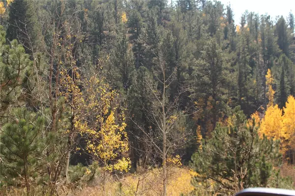 Bailey, CO 80421,2020 Shelton DR