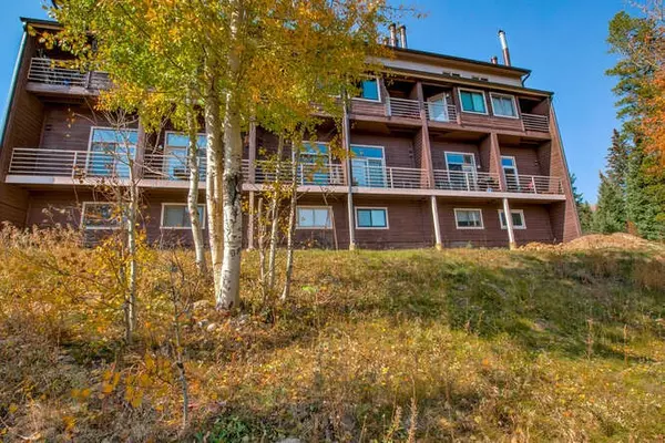 10000 Ryan Gulch RD #106, Silverthorne, CO 80498