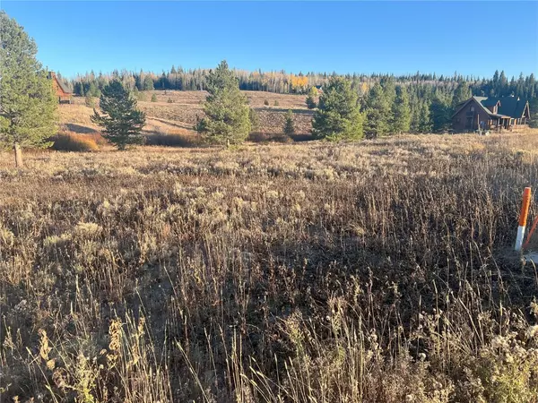 Clark, CO 80428,25865 Lodgepole Drive DR