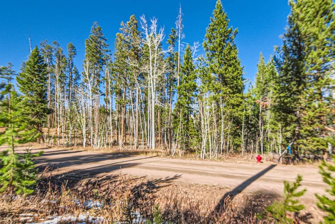 Oak  Creek, CO 80467,TBD Lot 51 Black Horse II