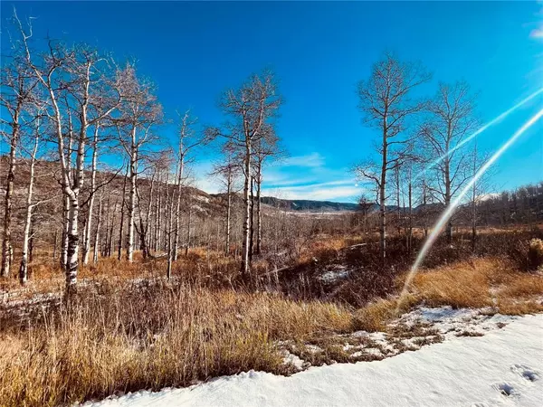 Clark, CO 80428,27250 Frisco PL