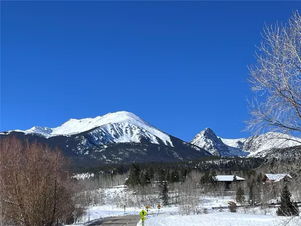 Silverthorne, CO 80498,101 Blue Grouse LN #221