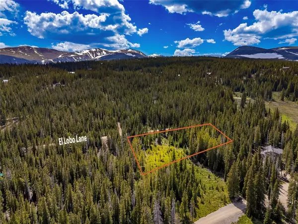 Fairplay, CO 80440,632 El Lobo LN