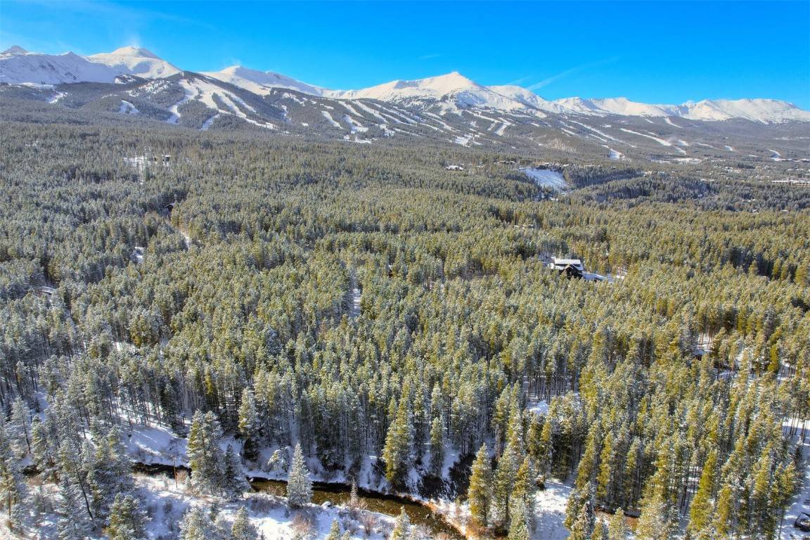 84 Blue Flag CIR,  Breckenridge,  CO 80424