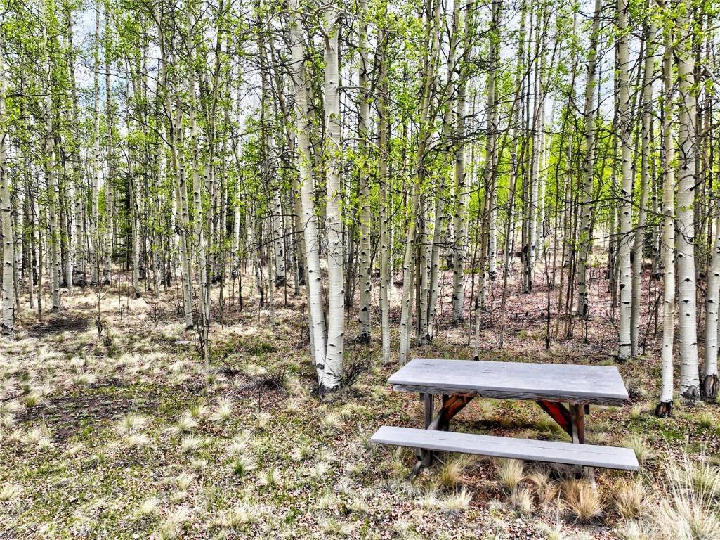 Como, CO 80432,120 Puma CT