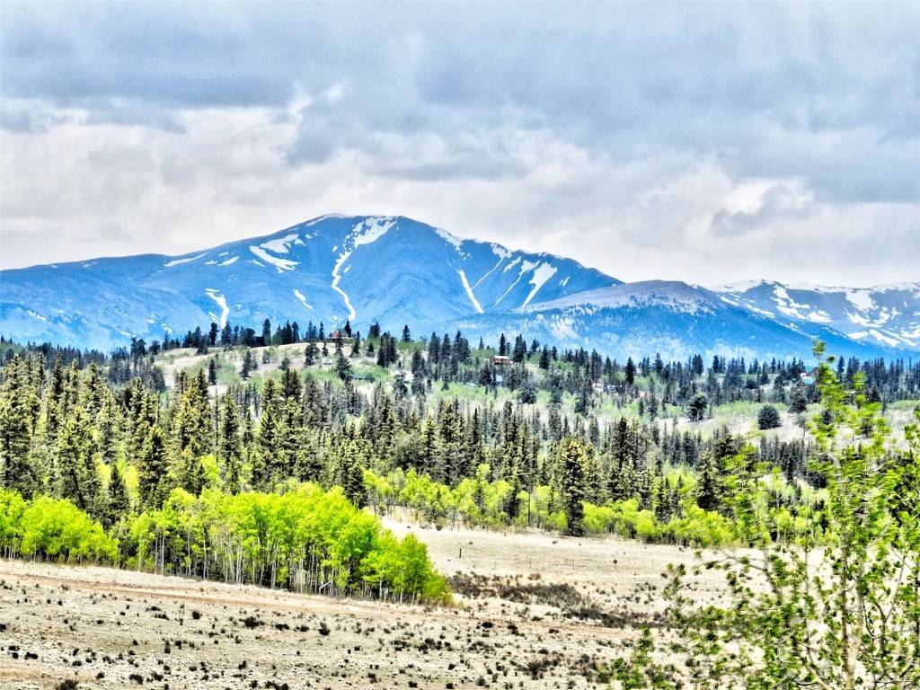 Como, CO 80432,142 Puma CT