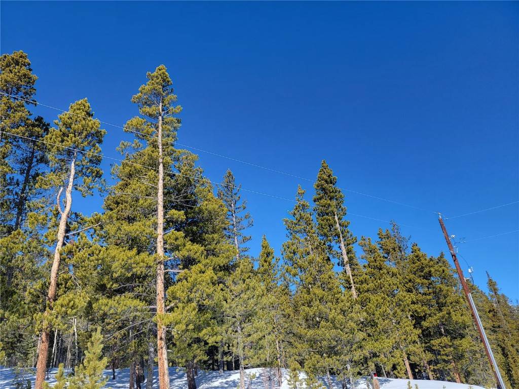 Fairplay, CO 80440,55 Peaceful CT
