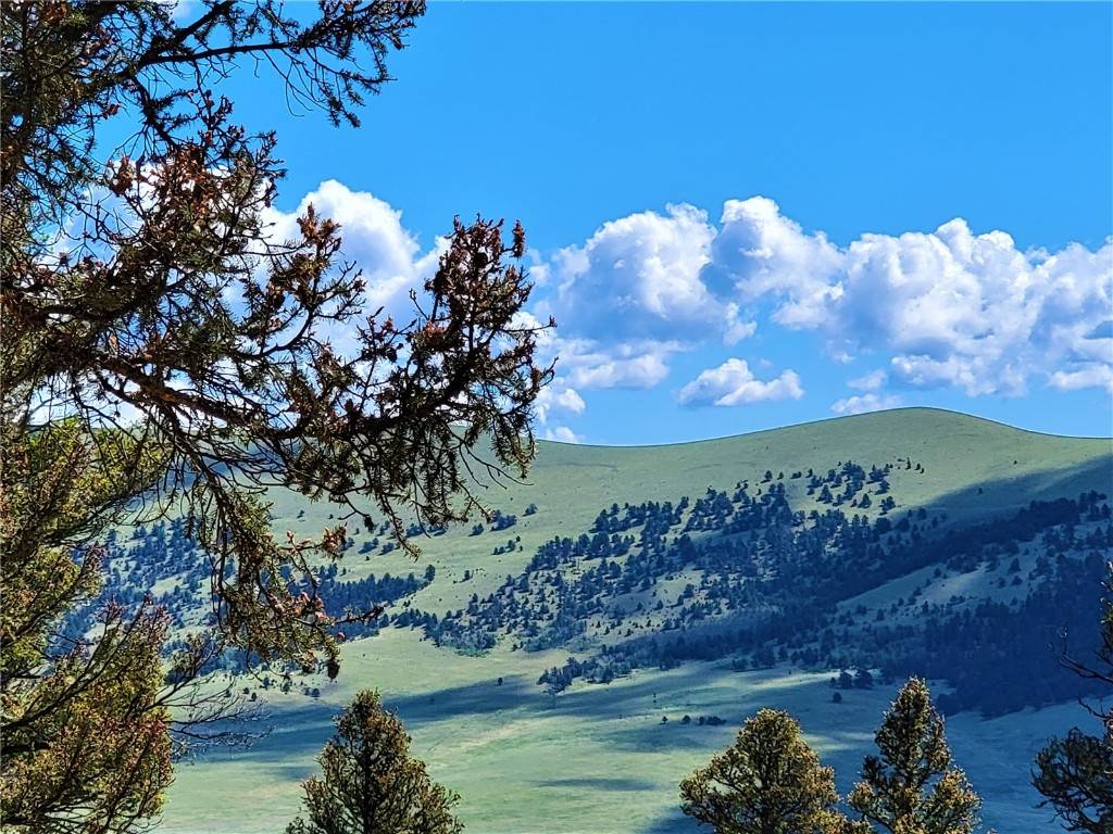 Fairplay, CO 80440,2041 Middle Fork Vista