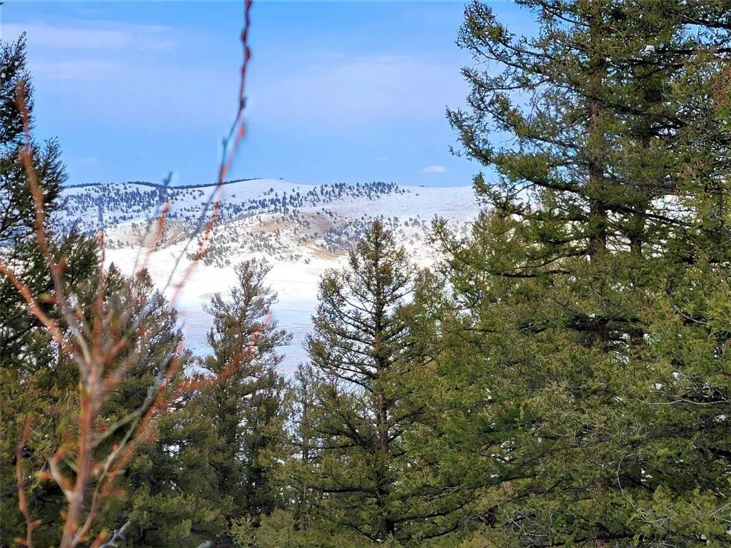 Fairplay, CO 80440,198 Middle Fork Vista
