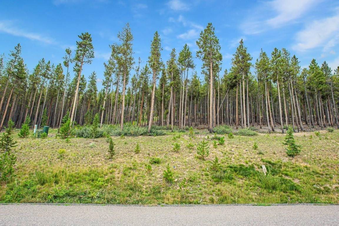 Breckenridge, CO 80424,705 Discovery Hill DR