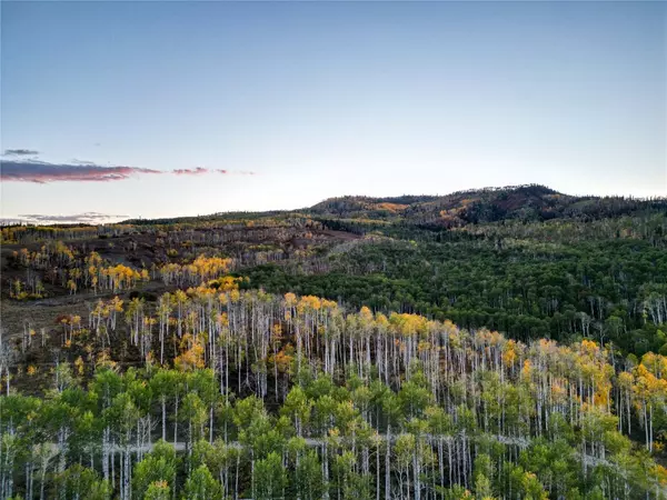 Clark, CO 80428,56025 Hannahs WAY