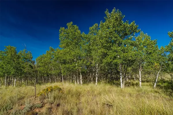 Como, CO 80432,180 N QUARTER HORSE RD