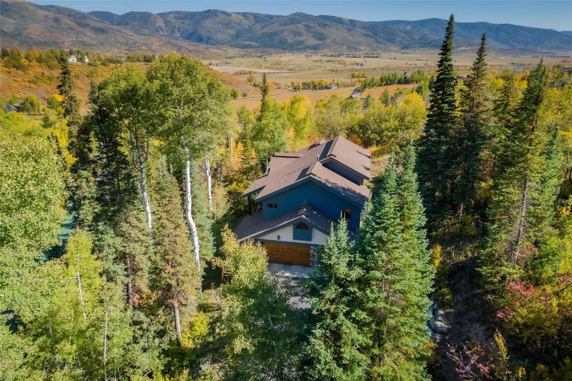 Steamboat  Springs, CO 80487,31055 Tree Top LN