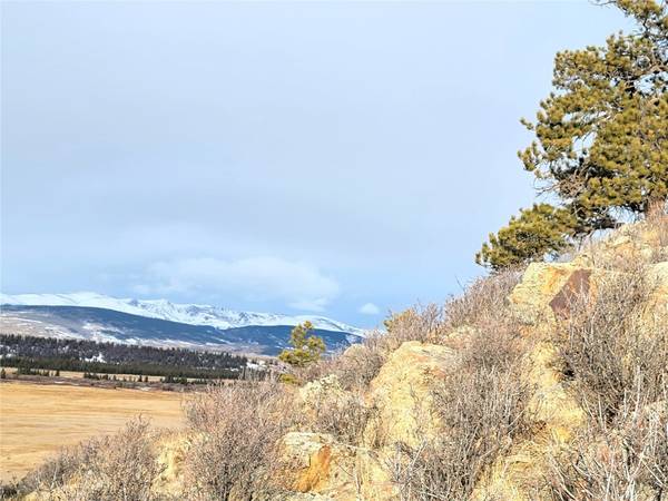 337 Redhill RD, Fairplay, CO 80440
