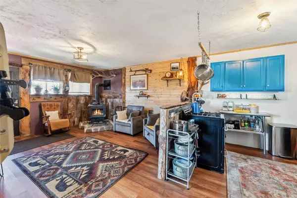 Como, CO 80432,50 Puma CT