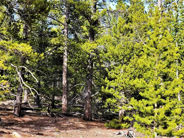 Fairplay, CO 80440,441 Gold Trail
