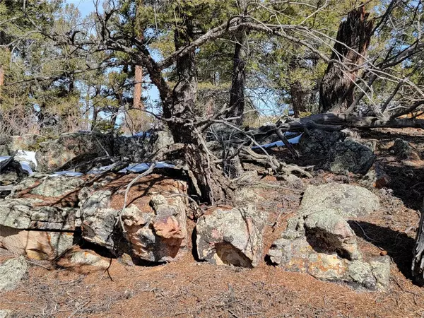 Fairplay, CO 80440,1411 Middle Fork