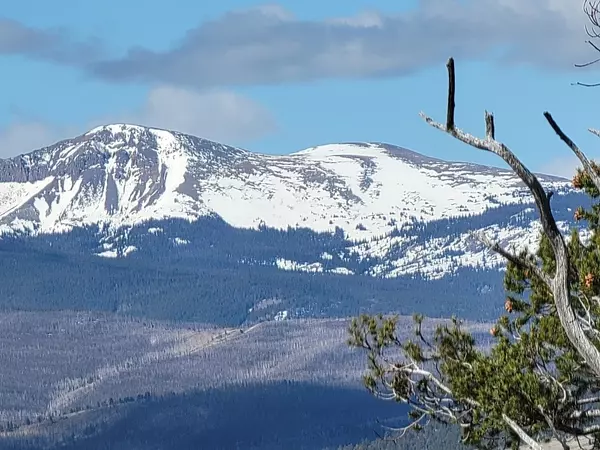 1411 Middle Fork, Fairplay, CO 80440