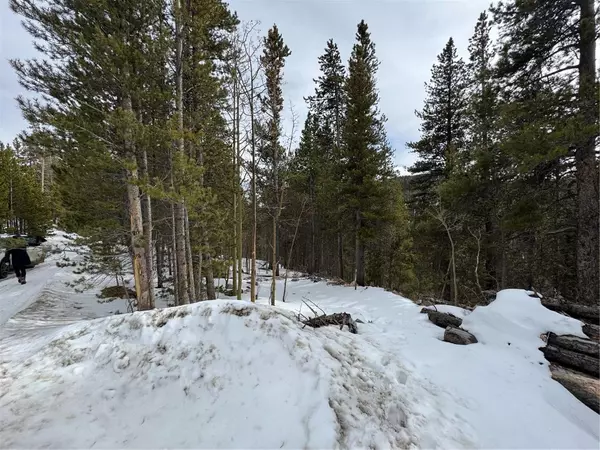 Idaho  Springs, CO 80452,649 Vista RD