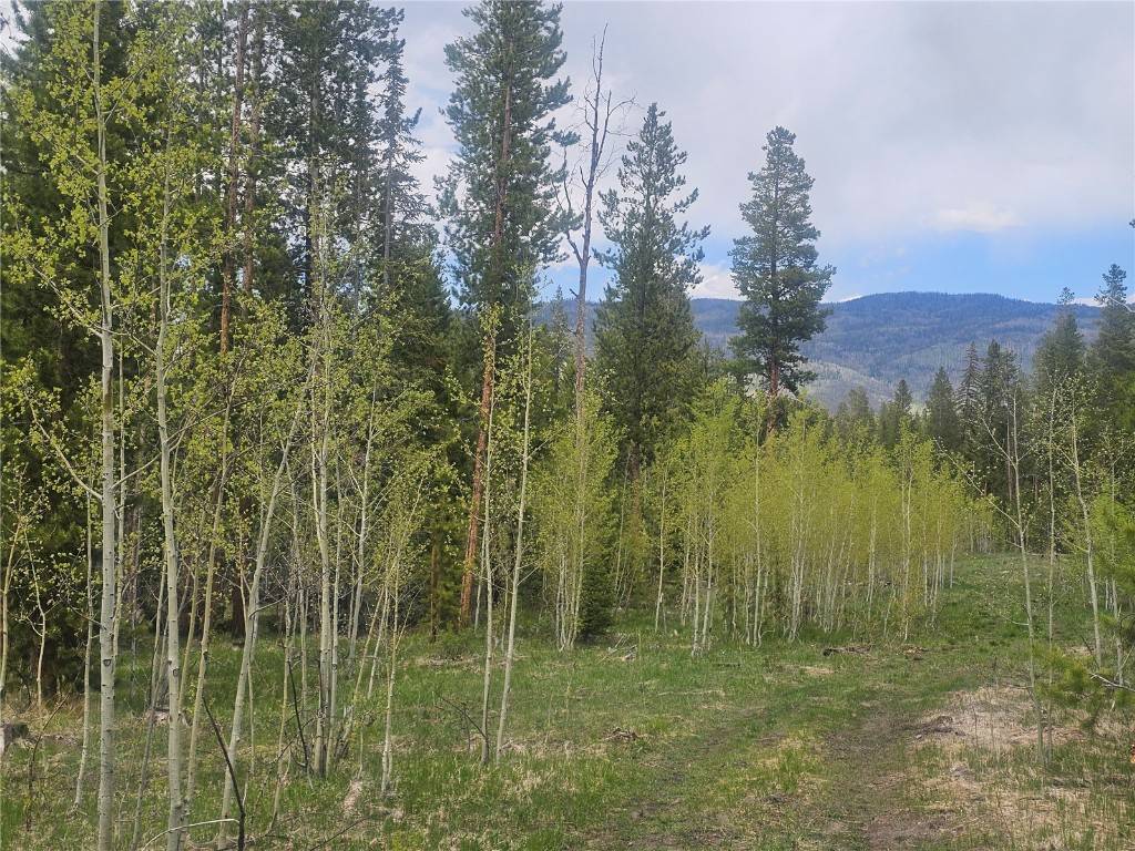 20850 Mustang WAY, Oak  Creek, CO 80467