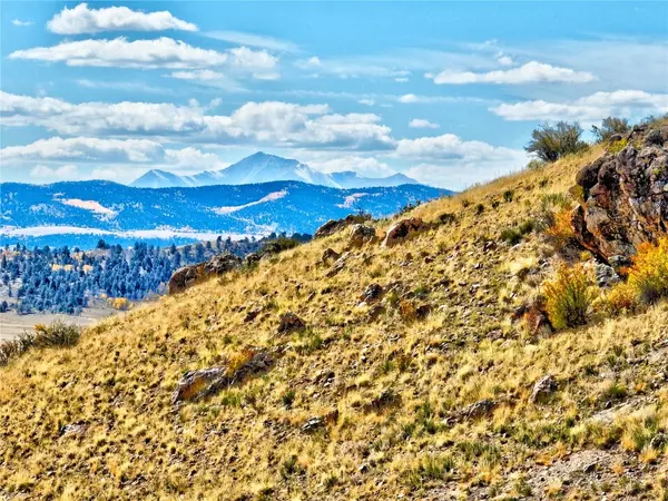 Hartsel, CO 80449,3431 Dog Chief TRL