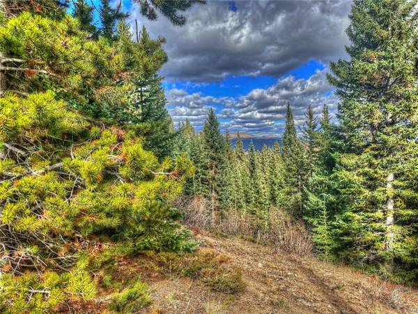 486 Valley Of The Sun DR, Fairplay, CO 80440