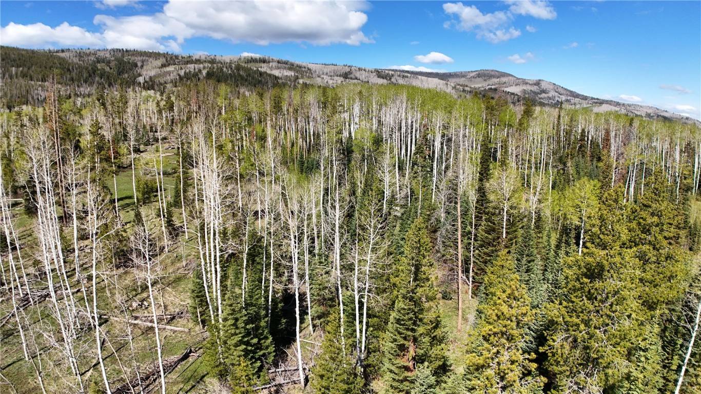 Oak  Creek, CO 80487,Lot 144 Sky Hitch IV
