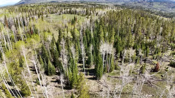 Oak  Creek, CO 80487,Lot 144 Sky Hitch IV
