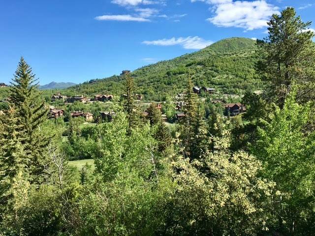 1100 STEAMBOAT BLVD, Steamboat  Springs, CO 80487