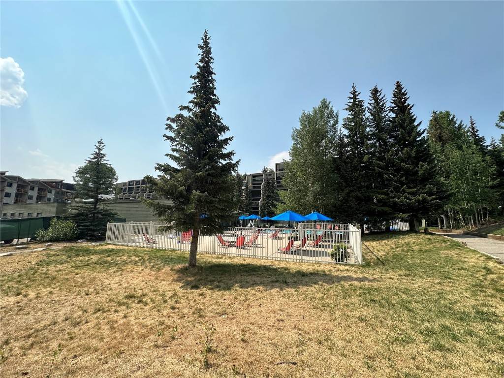 Keystone, CO 80435,165 Argentine CT #1407
