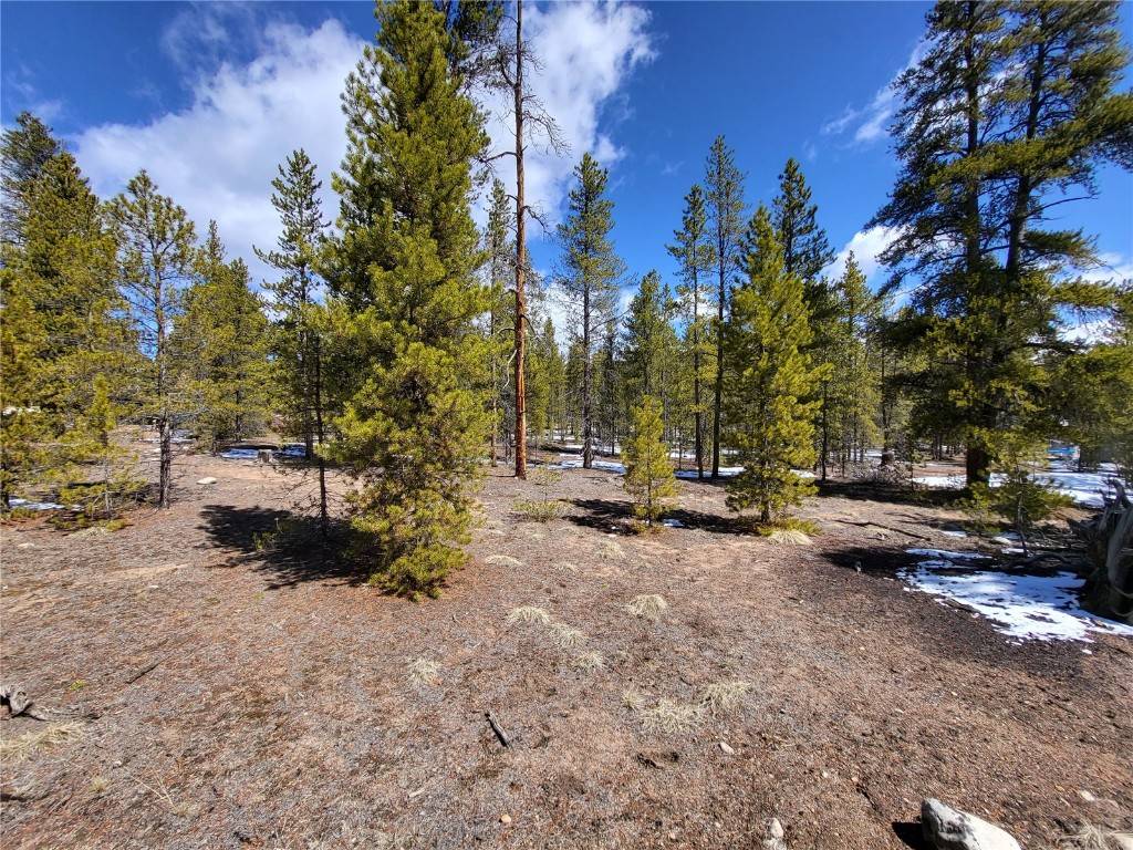 Twin  Lakes, CO 80461,379 & 361 Juniper DR