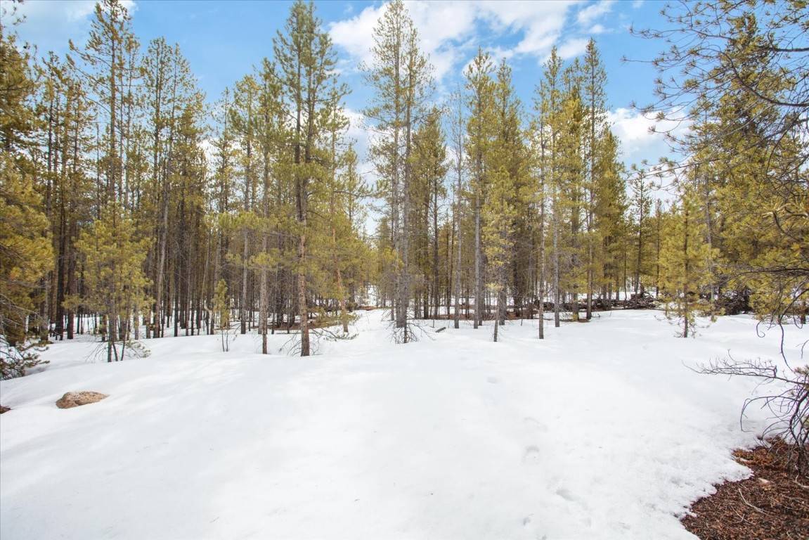 379 & 361 Juniper DR, Twin  Lakes, CO 80461