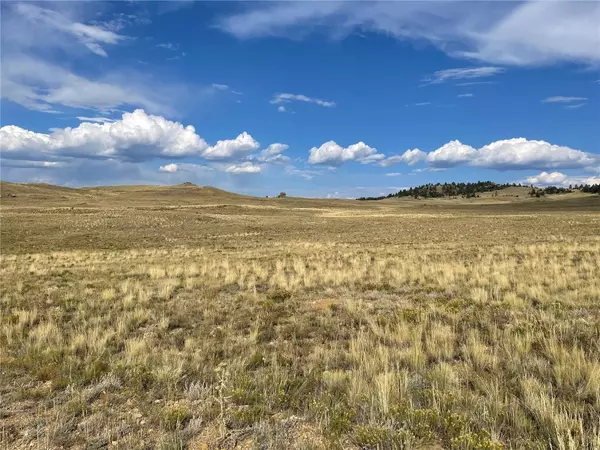 Hartsel, CO 80449,1070 Chickamauga TRL