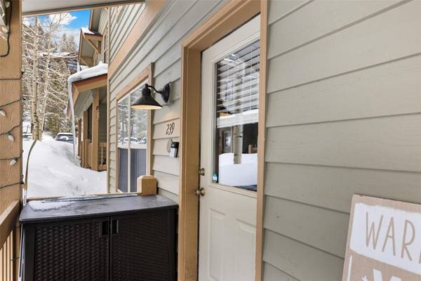 Breckenridge, CO 80424,239 Huron RD #C14