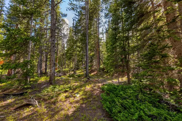 Fairplay, CO 80440,440 Gold Trail CIR