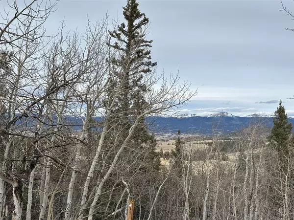 Como, CO 80432,184 Wikiup CIR