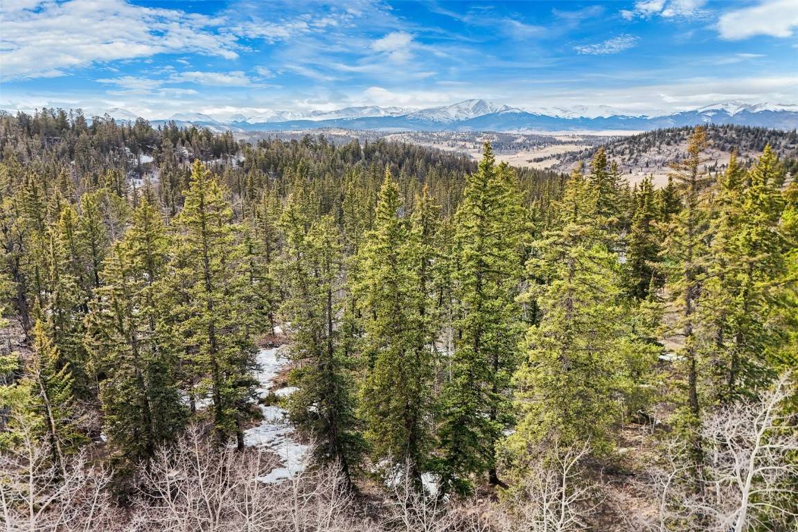 Como, CO 80456,67 Bear LN